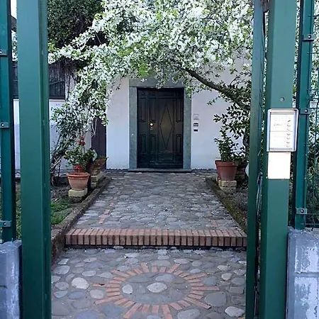 B&B Camelie-2